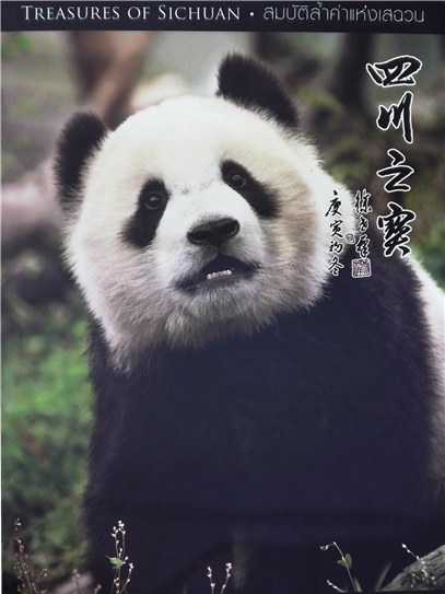 封面图片